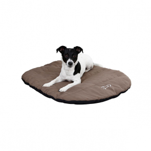 Pet Cushion Traveller (1)